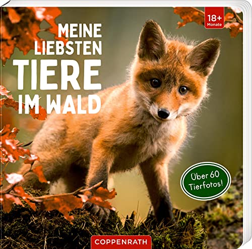 Meine liebsten Tiere im Wald
