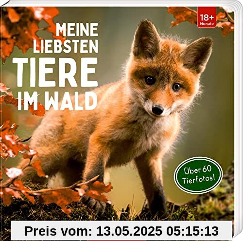 Meine liebsten Tiere im Wald