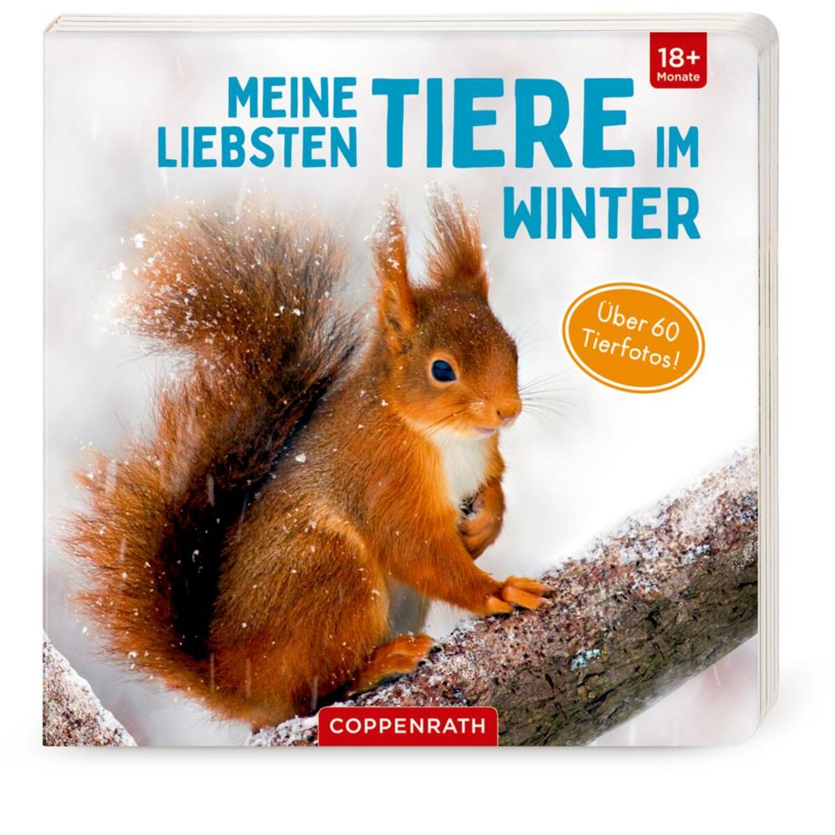 Meine liebsten Tiere im Winter von Coppenrath