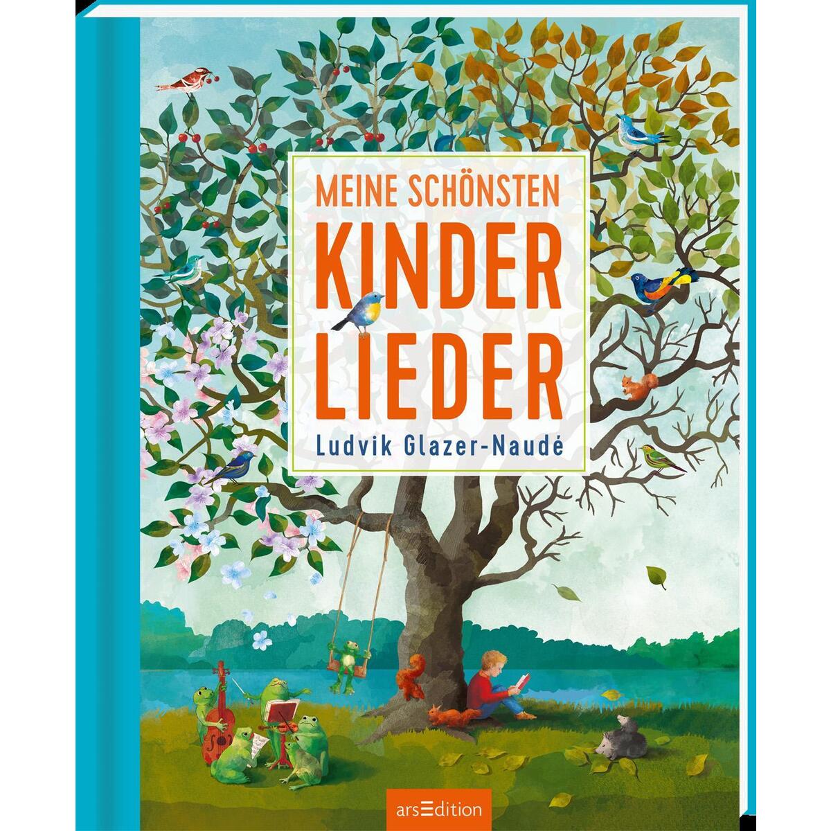 Meine schönsten Kinderlieder Meine schönsten Kinderlieder von Ars Edition GmbH
