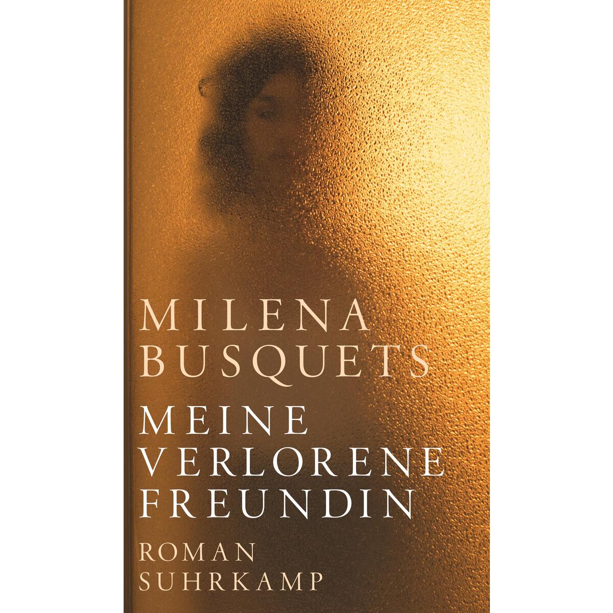 Meine verlorene Freundin von Suhrkamp Verlag AG