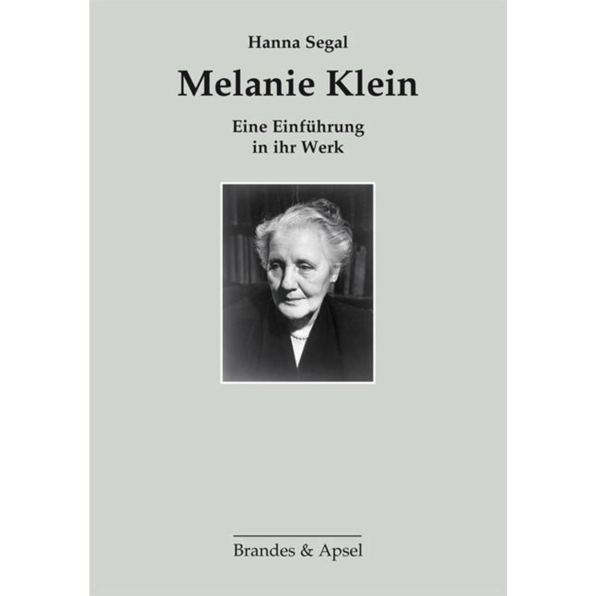 Melanie Klein von Brandes + Apsel Verlag Gm