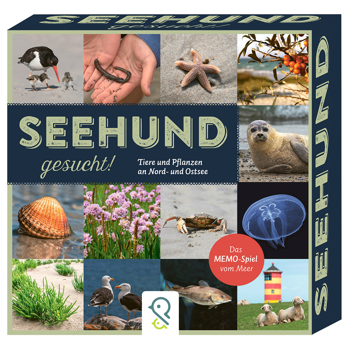 Memo-Spiel »Seehund gesucht!« von klein & groß Verlag