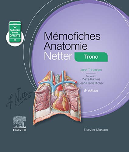 Mémofiches Anatomie Netter - Tronc von Elsevier Masson