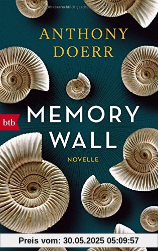 Memory Wall: Novelle Memory Wall: Novelle