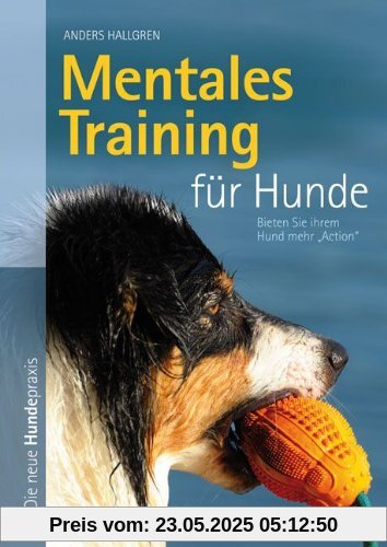 Mentales Training für Hunde
