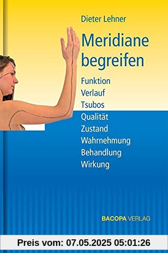 Meridiane begreifen.: Funktion Verlauf Tsubos Qualität Zustand Wahrnehmung