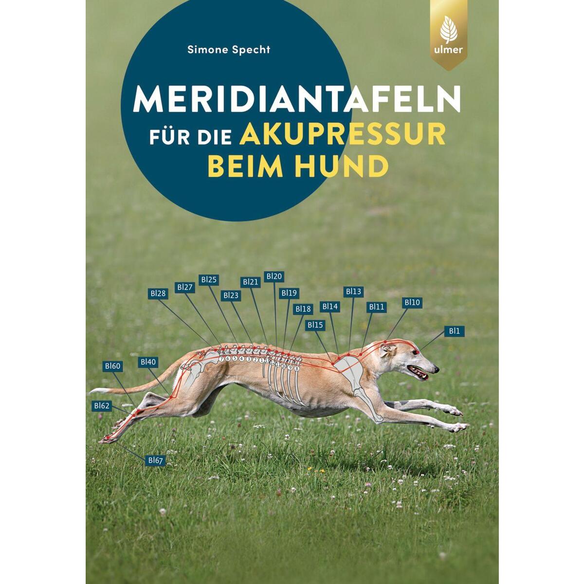 Meridiantafeln für die Akupressur beim Hund von Ulmer Eugen Verlag