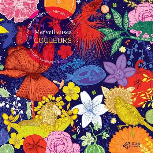 Merveilleuses couleurs: Un fabuleux cherche et trouve von TASCHEN
