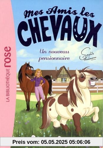 Mes amis les chevaux, Tome 1 : Un nouveau pensionnaire