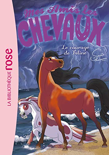 Mes amis les chevaux, Tome 23 : Le courage de Féline von Hachette Jeunesse