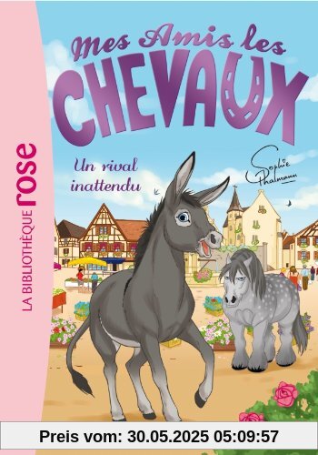 Mes amis les chevaux, Tome 4 : Un rival inattendu Mes amis les chevaux, Tome 4 : Un rival inattendu