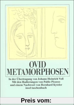 Metamorphosen (insel taschenbuch)