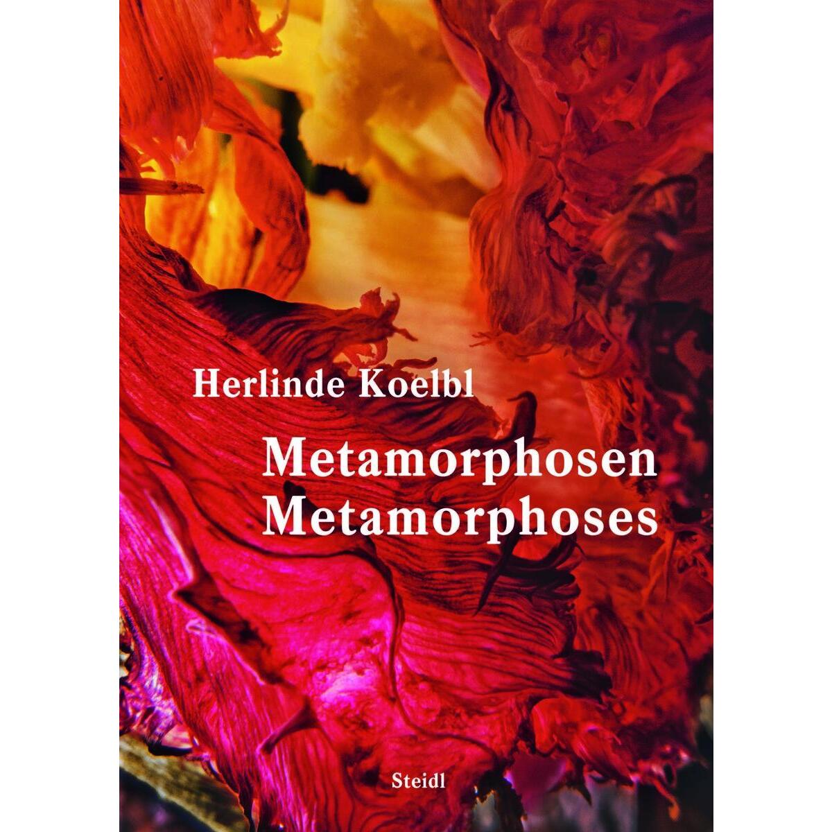 Metamorphosen von Steidl GmbH & Co.OHG