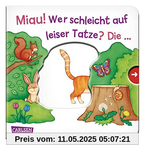 Miau! Wer schleicht auf leiser Tatze? Die ... Katze! - Großausgabe - ab 18 Monaten: Mein erster Reime-Bilder-Spaß mit Schieber: Kleine Tiere