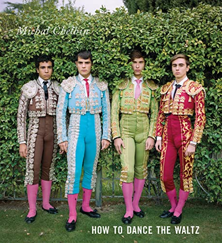 How to Dance the Waltz von Damiani Editore