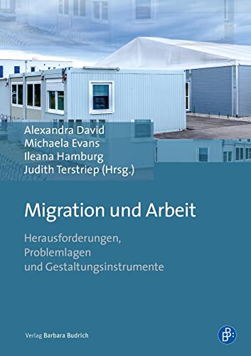 Migration und Arbeit: Herausforderungen, Problemlagen und Gestaltungsinstrumente