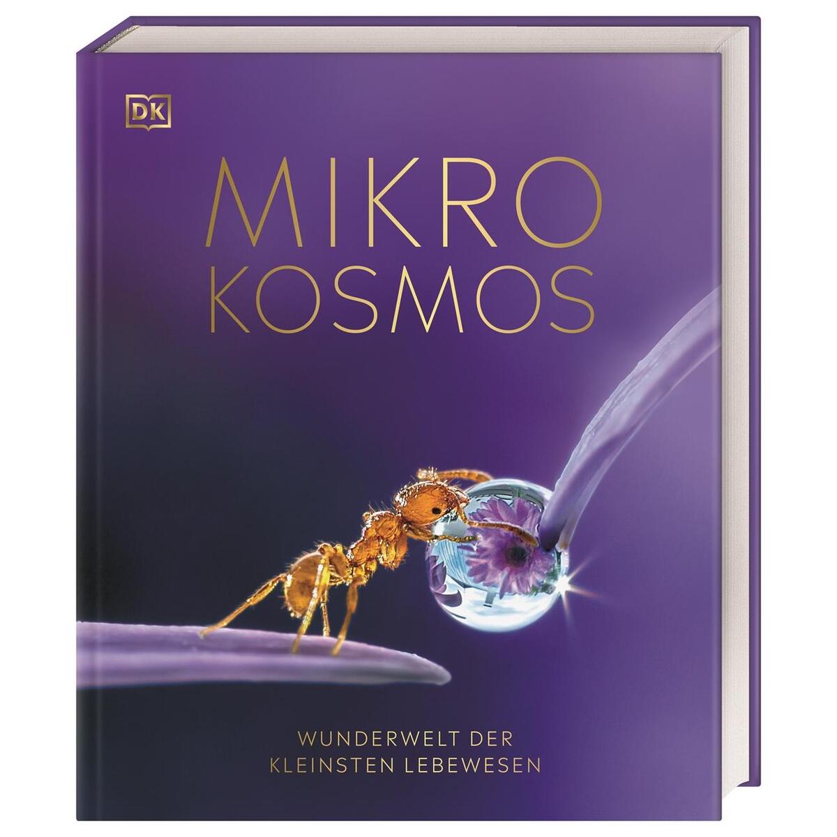 Mikrokosmos - Wunderwelt der kleinsten Lebewesen Mikrokosmos - Wunderwelt der kleinsten Lebewesen von Dorling Kindersley Verlag