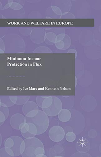 Minimum Income Protection in Flux (Work and Welfare in Europe) von MACMILLAN