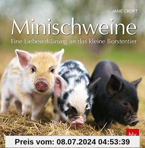 Minischweine: Eine Liebeserklärung an das kleine Borstentier