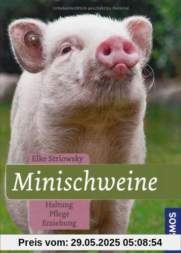 Minischweine: Haltung, Pflege, Erziehung Minischweine: Haltung, Pflege, Erziehung