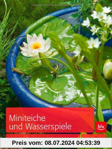 Miniteiche und Wasserspiele: Gestalten - Bepflanzen - Pflegen