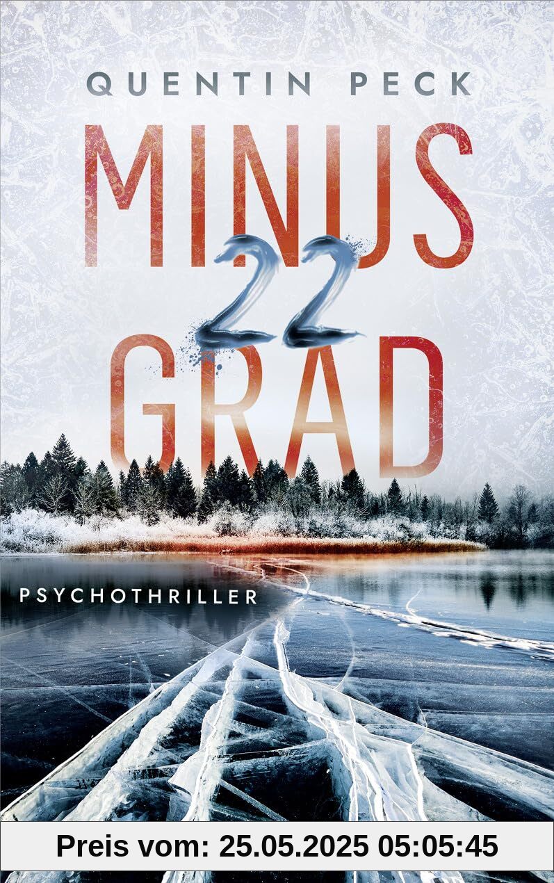 Minus 22 Grad: Psychothriller (Die Johannsen-Reihe, Band 1)