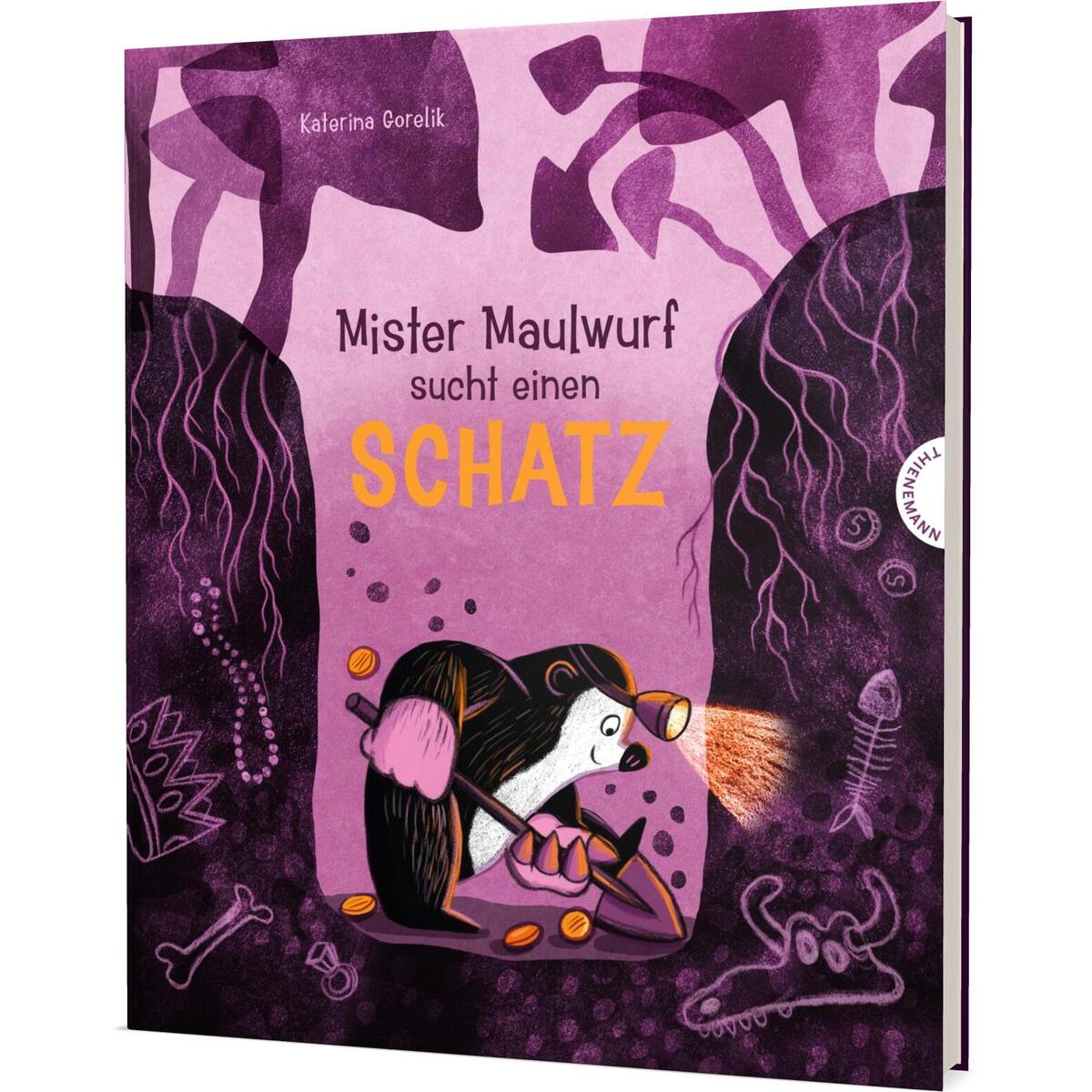 Mister Maulwurf sucht einen Schatz Mister Maulwurf sucht einen Schatz von Thienemann