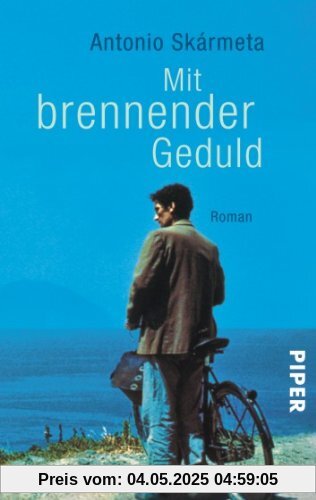 Mit brennender Geduld: Roman