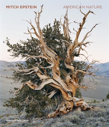 Mitch Epstein: American Nature von Skira