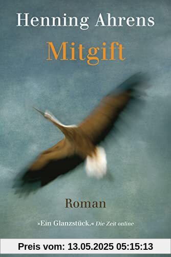 Mitgift: Roman