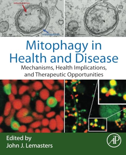 Mitophagy in Health and Disease: Mechanisms, Health Implications, and Therapeutic Opportunities von Academic Press