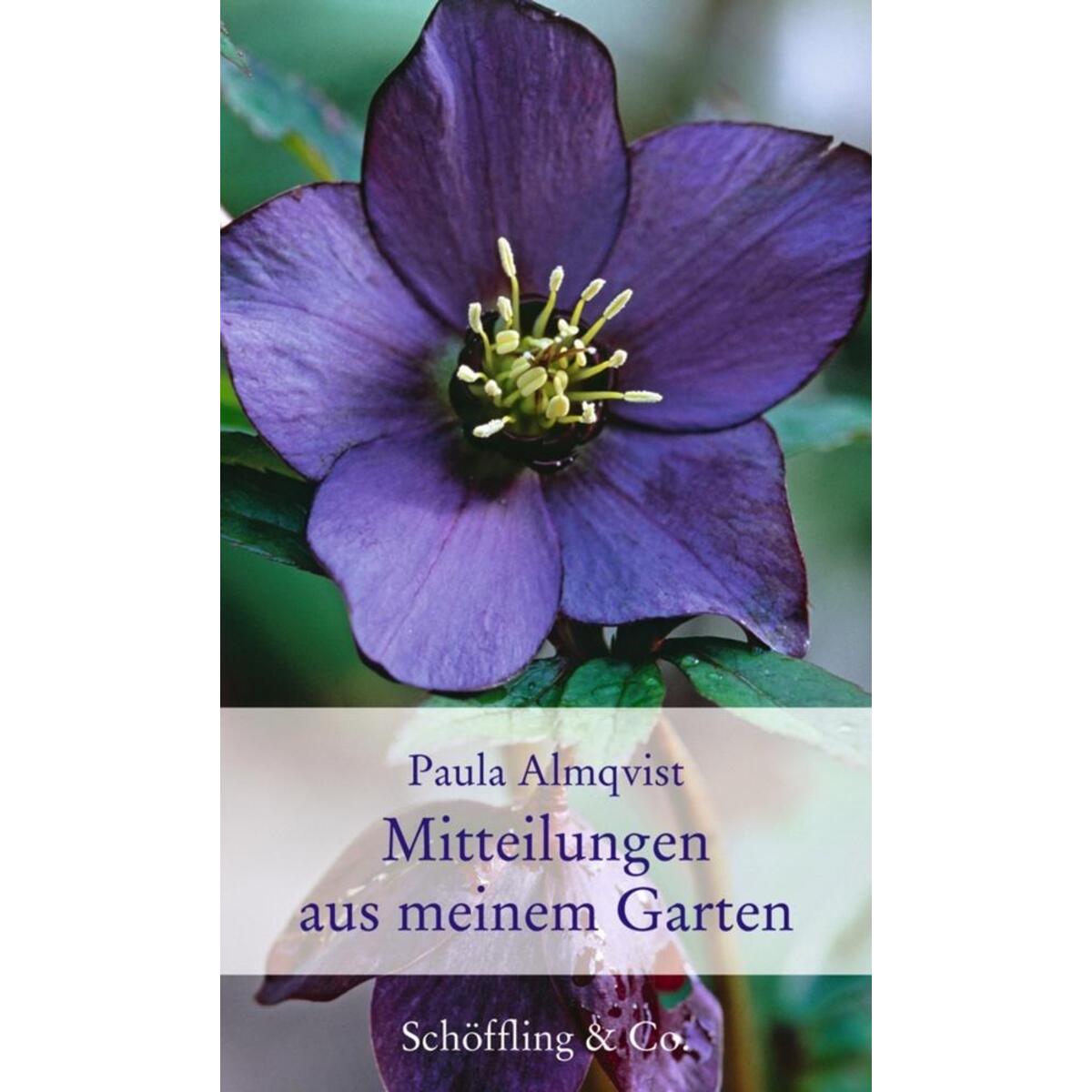 Mitteilungen aus meinem Garten Mitteilungen aus meinem Garten von Schoeffling + Co.