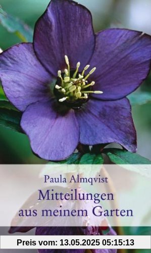 Mitteilungen aus meinem Garten