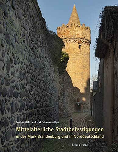 Mittelalterliche Stadtbefestigungen in der Mark Brandenburg und in Norddeutschland (Studien zur brandenburgischen und vergleichenden Landesgeschichte)