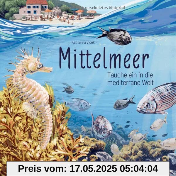 Mittelmeer: Tauche ein in die mediterrane Welt