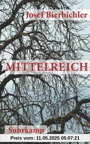 Mittelreich: Roman (suhrkamp taschenbuch)