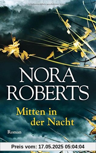 Mitten in der Nacht: Roman