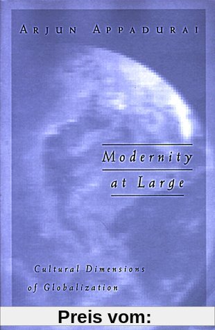 Modernity at Large: Cultural Dimensions in Globalization (Public Worlds)