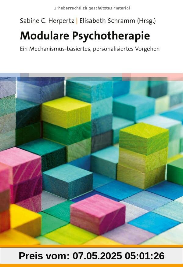 Modulare Psychotherapie: Ein Mechanismus-basiertes, personalisiertes Vorgehen