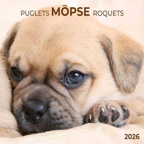 Möpse/Puglets 2026: Kalender 2026 (Artwork Edition) von Tushita PaperArt