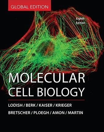 Molecular Cell Biology, 8Th Edn von Macmillan Education