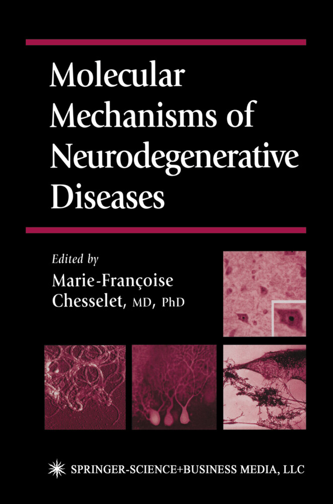 Molecular Mechanisms of Neurodegenerative Diseases von Humana Press