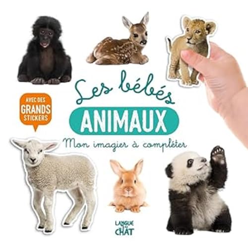 Mon bel imagier à compléter - Les bébés animaux - Avec de grands stickers von LANGUE AU CHAT