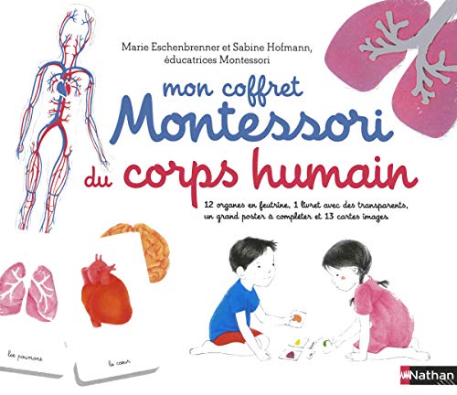 Mon coffret Montessori du corps humain : Avec 12 organes en feutrine, 1 livret avec 4 transparents, 13 cartes et 1 poster à compléter von Nathan
