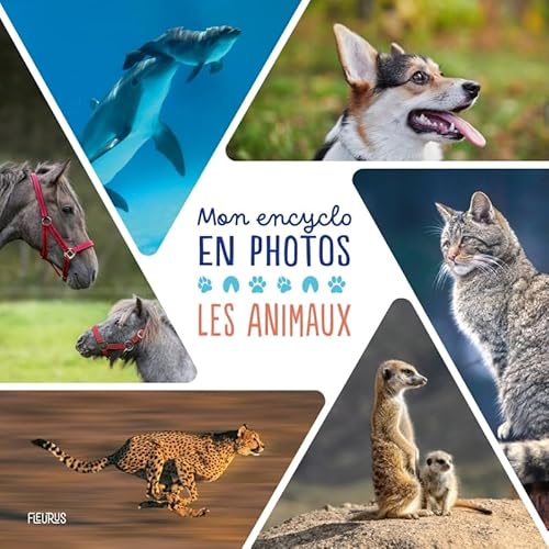 Mon encyclo en photos - Animaux von FLEURUS