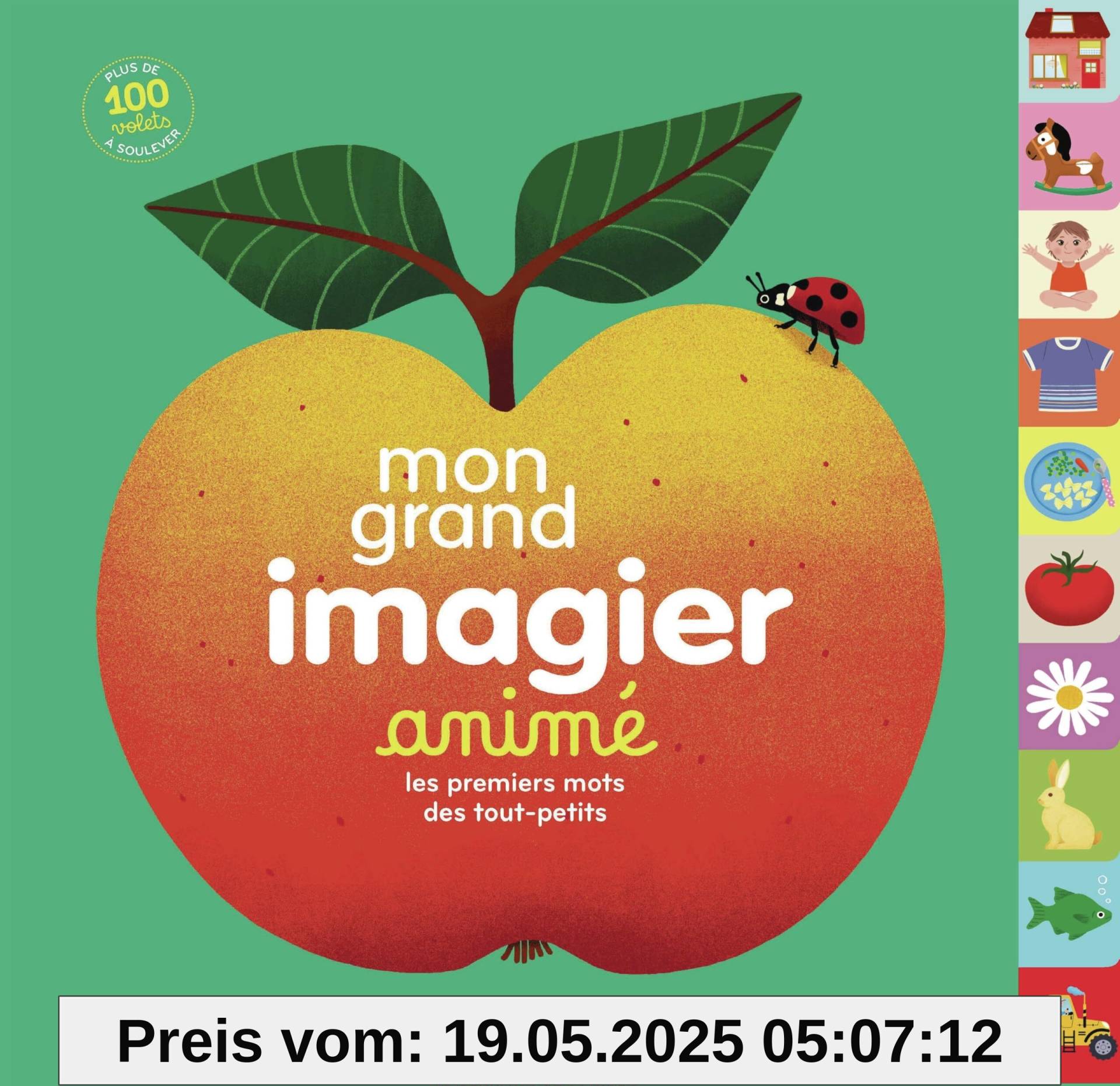 Mon grand imagier animé: Les premiers mots des tout-petits