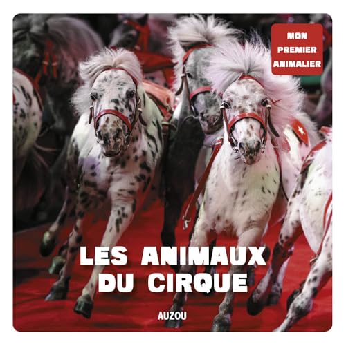 Mon premier animalier - LES ANIMAUX DU CIRQUE Mon premier animalier - LES ANIMAUX DU CIRQUE von PHILIPPE AUZOU