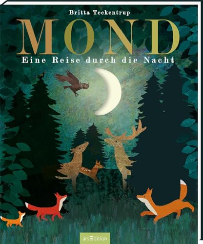 Mond: Eine Reise durch die Nacht | Gereimtes Bilderbuch zur Guten Nacht, mit Gucklöchern, hochwertig ausgestattet, für Kinder ab 4 Jahren