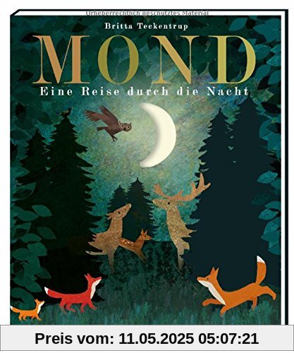 Mond: Eine Reise durch die Nacht (Britta Teckentrup Bilderbücher)